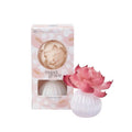 Flower Diffuser 6 Pack-Sweet Grace